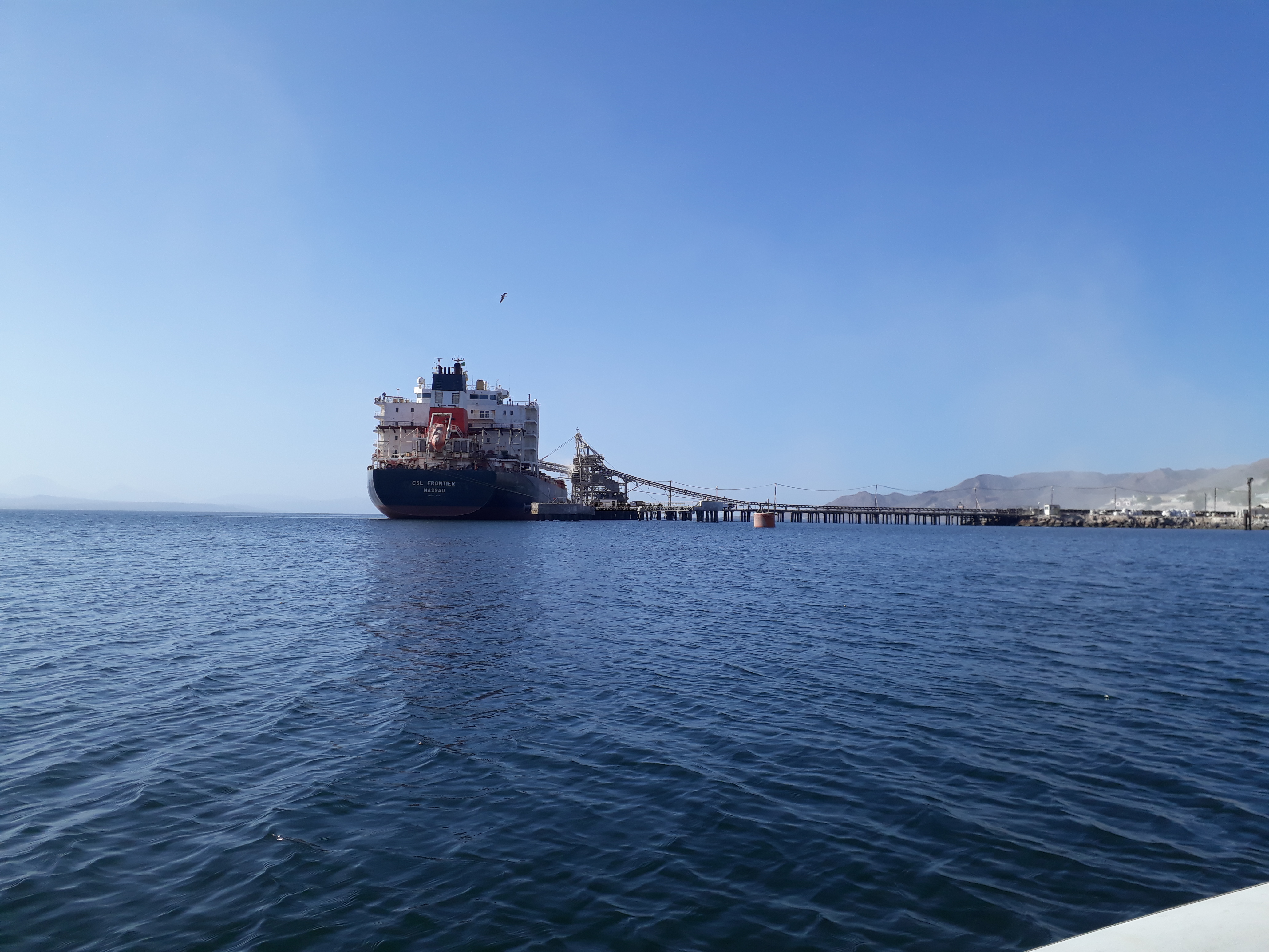 Ship Brokerage Excellence